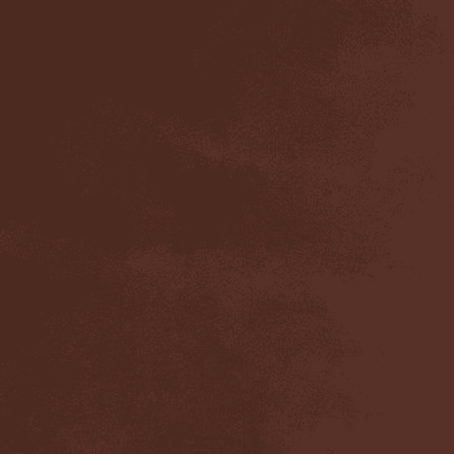 YTTP Brown Pilates Grip Socks