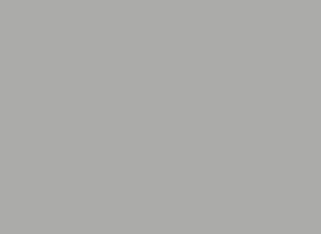 YTTP Grey Pilates Grip Socks